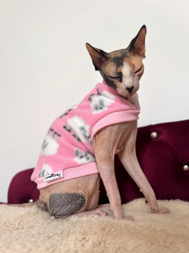 Sphynx jumper cosy - cosy, cat