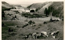 Lenzkirch Panorama