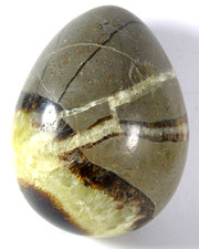 LOVELY LARGE  SEPTARIAN