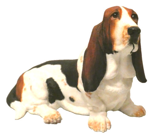 Bassett hound border - border, fine