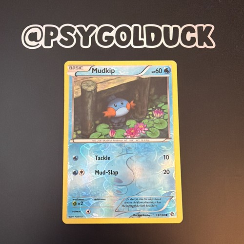 Pokémon tcg mudkip - tcg,
