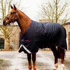 Horseware Ireland Amigo Bravo