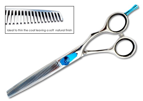 Dog grooming essentials - dog,