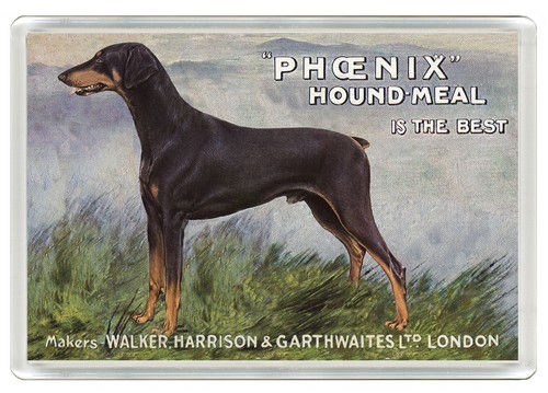 Doberman dog fridge magnet - dog,