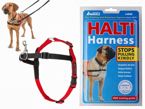 Halti dog front - halti, control