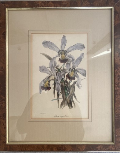 Holden del litho - s., &