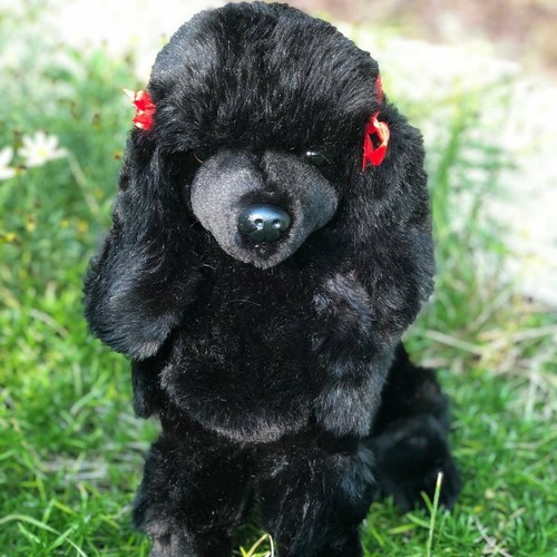 Auswella plush black - auswella, standard