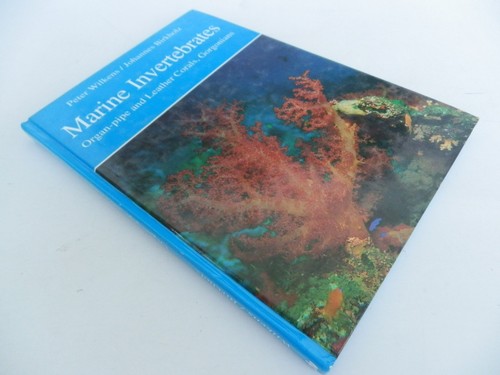 Marine invertebrates - invertebrates,