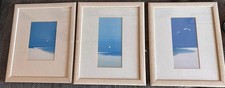 A set of 3 glass framed pictures in excellent condition