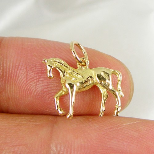 The horse zodiac - zodiac, solid