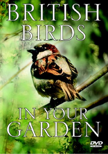 British birds your garden - in,