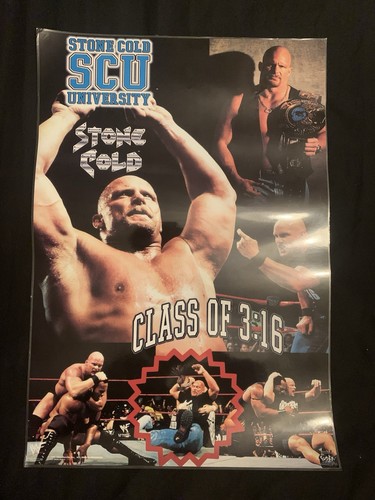 Wwf vintage stone cold - wwf,