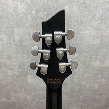 SCHECTER DAMIEN PLATINUM-6 [Mie Main Store]