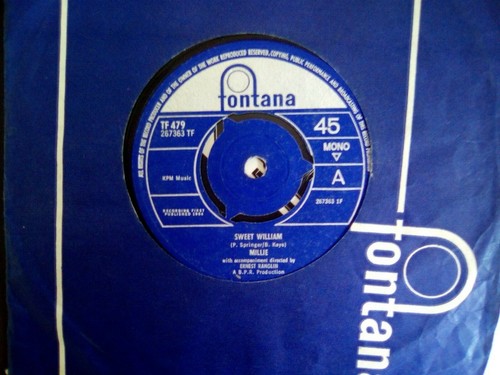 Millie sweet william - millie,
