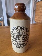 Usborne ginger beer - ginger,