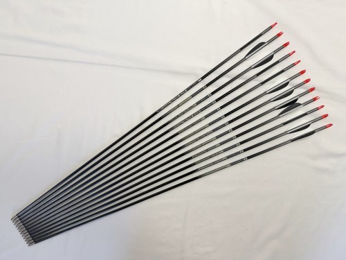 Easton axis archery - 12, x