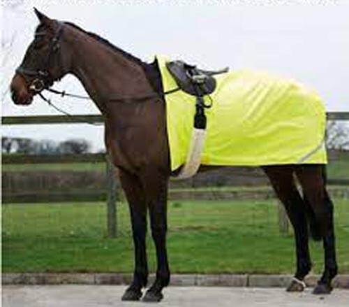 Cameo hi viz waterproof - viz,