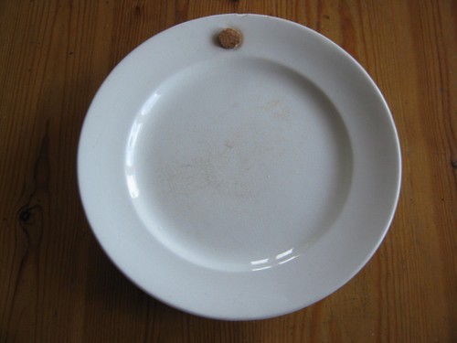 Dinner plate with integral - dinner,