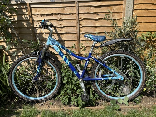 Girls bike - girls, 24”