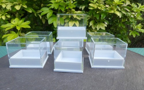 Perspex clear lid specimen - lid,