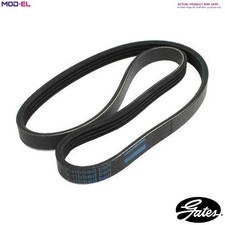 VRIBBED BELT 4PK1120 FOR VW