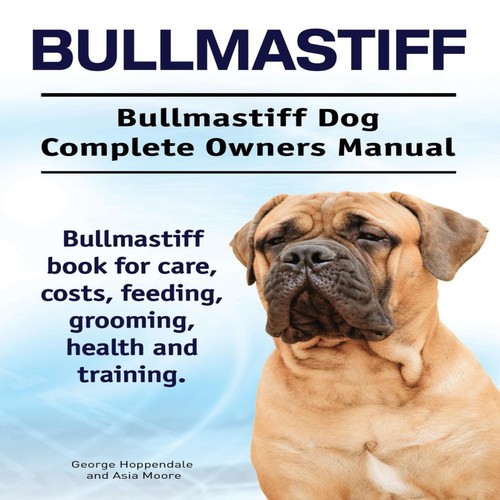 Bullmastiff dog - bullmastiff.,