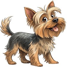 30 Custom Yorkshire Terrier