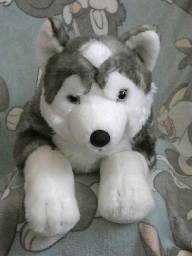 Husky animal alley 54cm - alley,