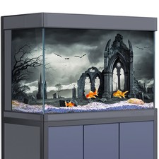 Aquarium Décor Background
