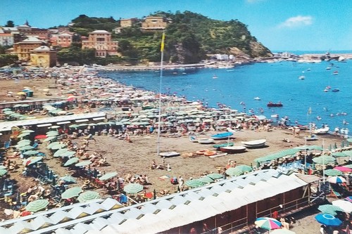 Postcard sestri levante - postcard,