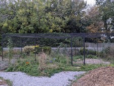 Harrod Horticultural Walk-in Fruit/Veg Cage 8m (l). 3m (w) x 2m (h) with Netting