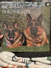 German Shepherds 2025 Wall