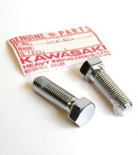 Rear Shock Strut Bolts