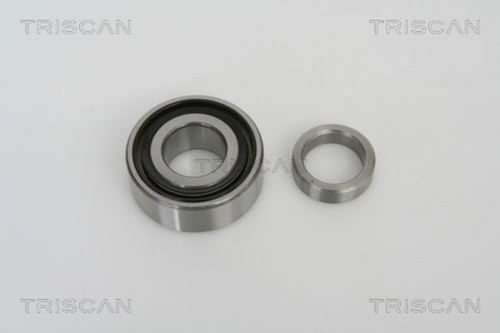 Wheel bearing kit triscan - wheel,