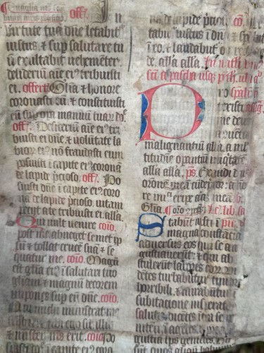 Illuminated manuscript - illuminated,