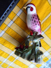 HOARY REDPOLL hand painted