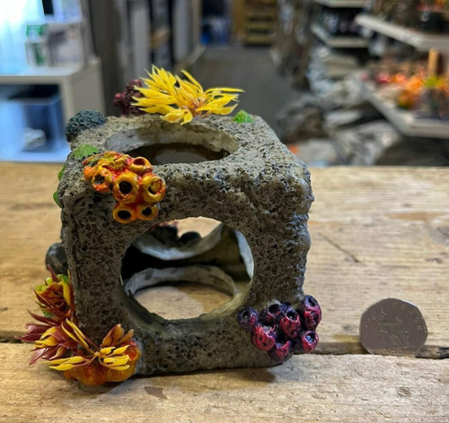 Coral cube habitat - coral,