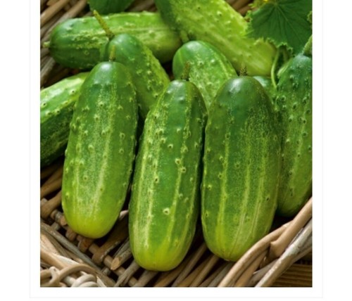 Cucumber gherkin polan appx - cucumber, *polan
