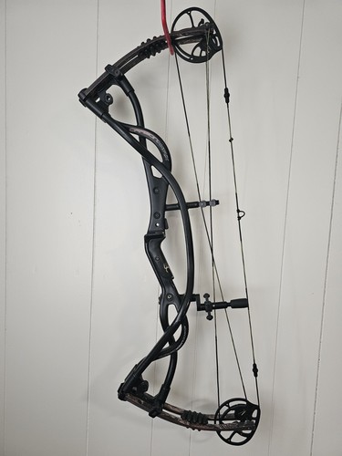 Hoyt carbon matrix compound - carbon,