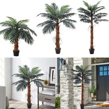 Large Realistic Palm Tree