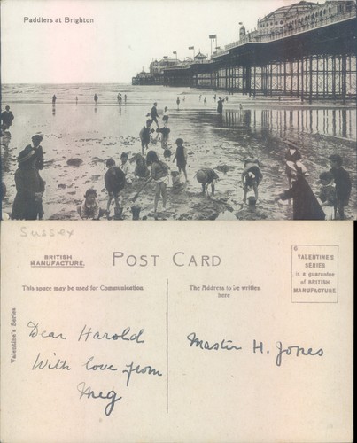 Paddlers brighton - paddlers,