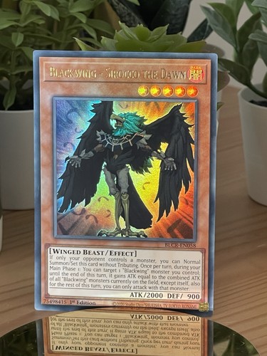 Tcg blackwing - yu-gi-oh!,