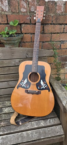 Two dove vintage acoustic - dove,