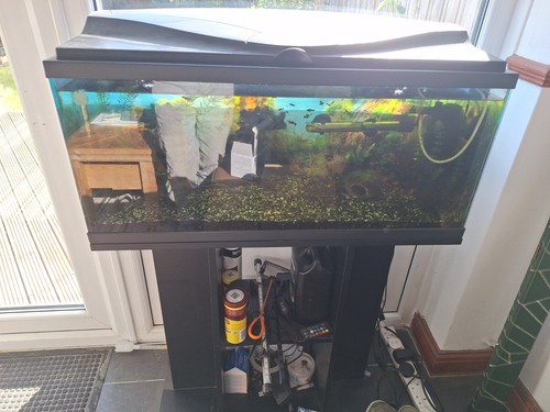 This 800mmx450mm aquarium - this, is