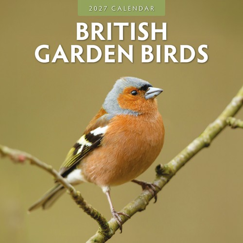 British garden birds - birds, 2027