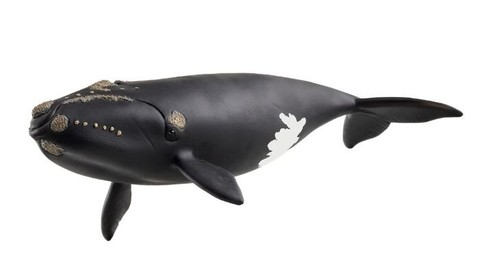 Schleich atlantic whale - schleich,