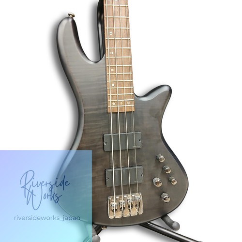 Schecter electric bass - schecter,