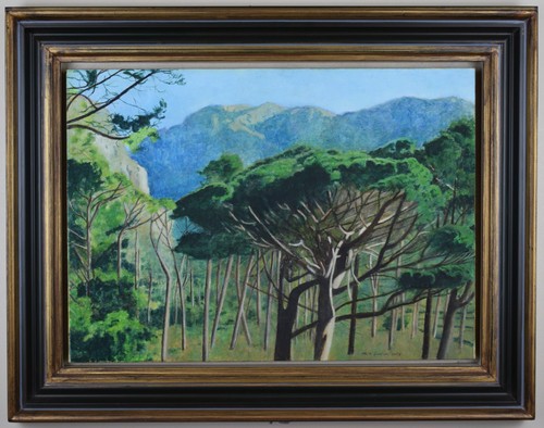 Stone pines table mountain - pines, &