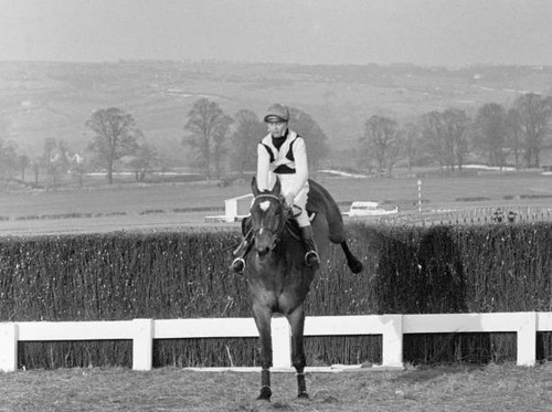Cheltenham gold cup 1965 - 1965, mill