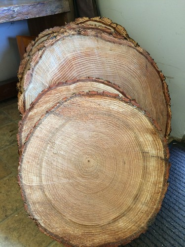 Rustic log slices cut - rustic, to